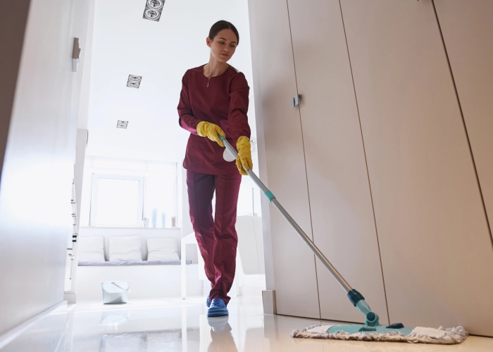 Reinigung der Gemeinschaftsbereiche von Gebäuden in Lörrach 79541