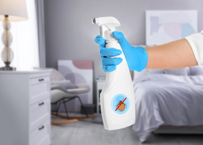 Behandlung von Bettwanzen in Bad Kreuznach 55543